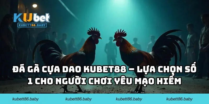 Đá Gà Cựa Dao